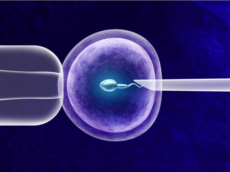 Steps in The In-Vitro Fertilization Process