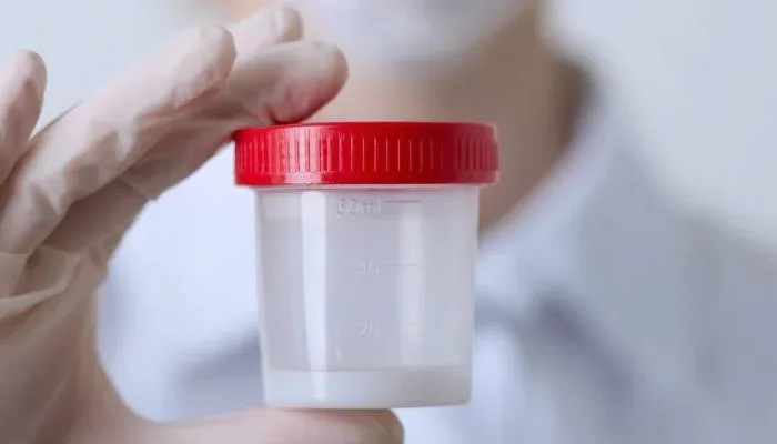 Debunking Common Misunderstandings About Vasectomies