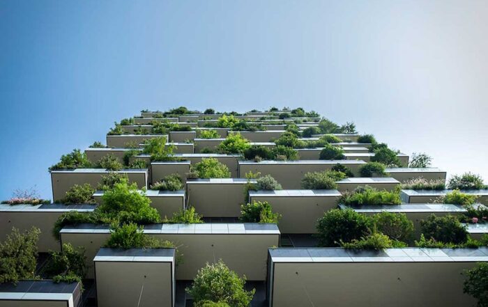 Understanding Eligibility Criteria for Transitional Housing Programs