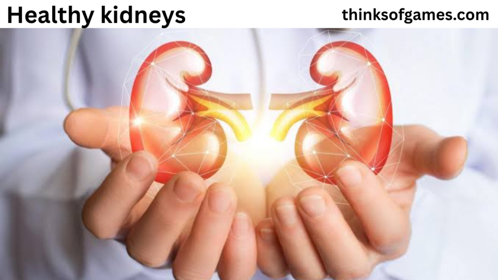 healthy kidneys