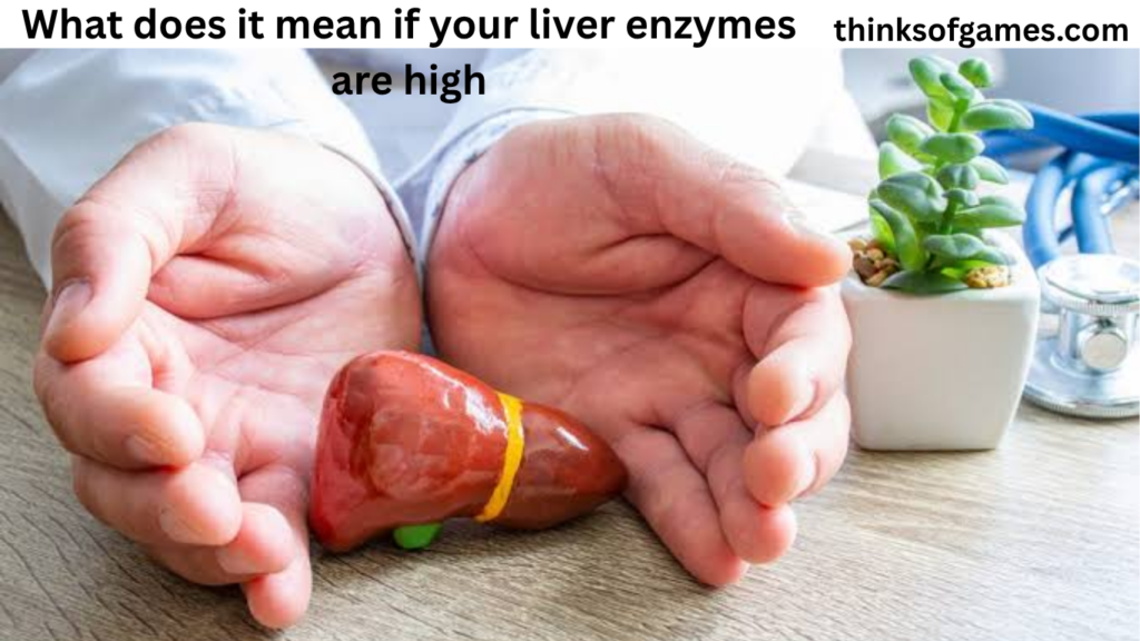 what does it mean if your liver enzymes are high